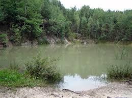 Rezerwat przyrody Barcza